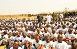 Insecurity: FG sets to deploy 7,000 Forest Guards in frontline states