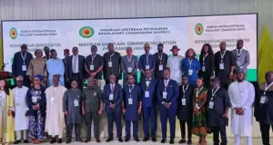 Nigeria approves 28 firms to capture flared gas, targets $2bn investment
