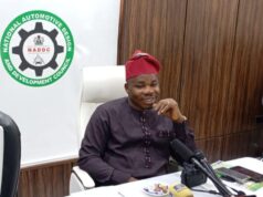 ELV policy to inject ₦150bn annually into Nigeria’s economy — NADDC