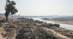 Eroded future: The untold story of Kano’s fishery center crippled by sand miners