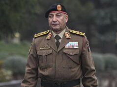Libyan army chief dies in Turkey plane crash Turkey