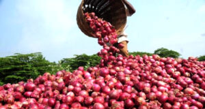 Nigeria-Ghana onion trade collapses amid trader clashes