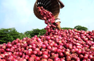Nigeria-Ghana onion trade collapses amid trader clashes