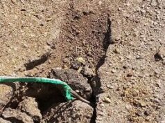 PHOTOS: Troops uncover IED on Borno highway, arrest suspected terror logistics suppliers