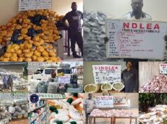 NDLEA busts drug rings, seizes 7.6m tramadol pills, 76,000kg cannabis