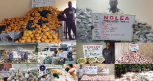 NDLEA busts drug rings, seizes 7.6m tramadol pills, 76,000kg cannabis