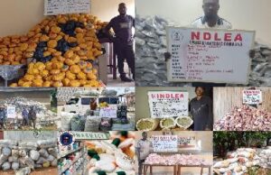 NDLEA busts drug rings, seizes 7.6m tramadol pills, 76,000kg cannabis