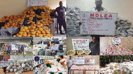 Resize_6221281f-a7b4-44f5-8bc1-f905bb9f609020251207_115432