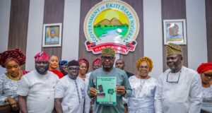 Ekiti leads Nigeria in tax reform with new revenue law