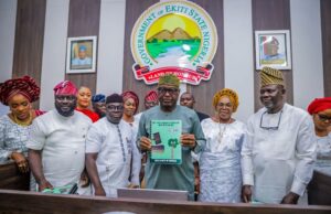 Ekiti leads Nigeria in tax reform with new revenue law