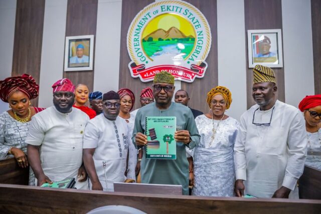 Ekiti leads Nigeria in tax reform with new revenue law