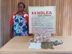 NDLEA intercepts Italy-bound drugs, nabs businessman, Beninoise lady NDLEA