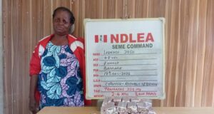 NDLEA intercepts Italy-bound drugs, nabs businessman, Beninoise lady NDLEA