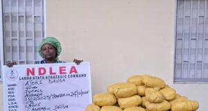 NDLEA recovers illicit drugs in Ekiti, Lagos, Taraba raids NDLEA