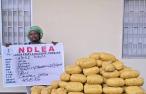 NDLEA recovers illicit drugs in Ekiti, Lagos, Taraba raids NDLEA