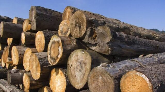 Nigeria bans wood exports, orders nationwide enforcement