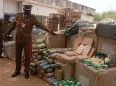 NDLEA seizes N2.8bn worth of drugs, convicts 136 peddlers in Jigawa