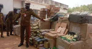 NDLEA seizes N2.8bn worth of drugs, convicts 136 peddlers in Jigawa