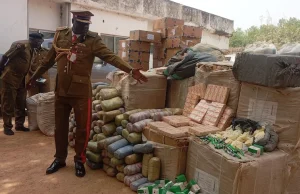 NDLEA seizes N2.8bn worth of drugs, convicts 136 peddlers in Jigawa