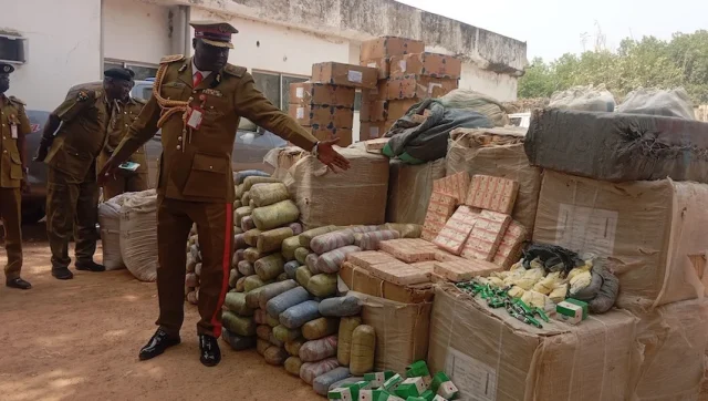 NDLEA seizes N2.8bn worth of drugs, convicts 136 peddlers in Jigawa