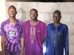 Troops arrest three suspected ISWAP recruitment agents in Borno