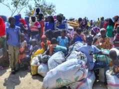 Borno to repatriate over 3,000 Nigerian refugees from Cameroon after 11 years