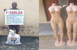 NDLEA nabs 80-year-old ex-convict, recovers drugs hidden in body mannequins 80-year-old
