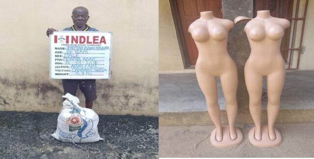 NDLEA nabs 80-year-old ex-convict, recovers drugs hidden in body mannequins 80-year-old