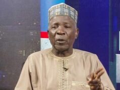 Gov Yusuf risks failure without Kwankwaso support — Buba Galadima