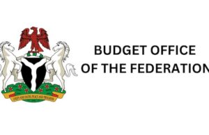 ₦246bn NEDC allocation not meant for salaries alone — Budget office