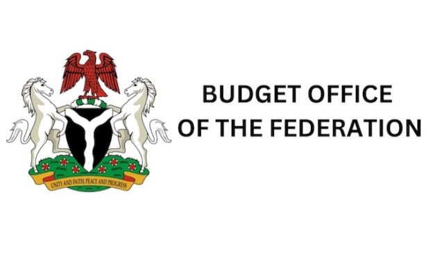 ₦246bn NEDC allocation not meant for salaries alone — Budget office
