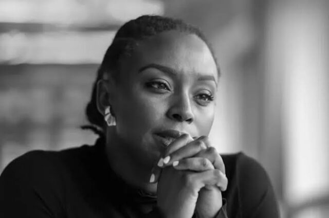 Court suspends inquest into Chimamanda’s son’s death amid AG controversy