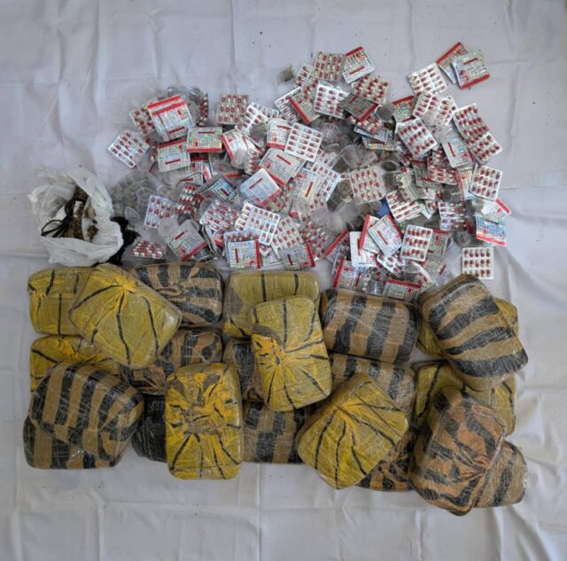 Police arrest drug dealer, five suspected thugs in Kano