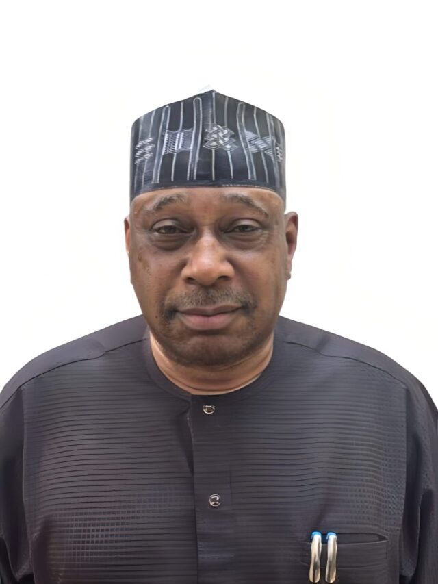 Wike appoints Sani Daura as SSA on protocol matters
