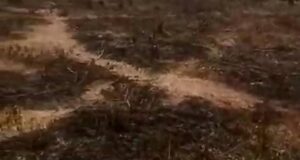 Fire guts sections of Abbatuwa Cemetery in Kano