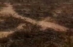Fire guts sections of Abbatuwa Cemetery in Kano