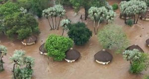 Severe flooding forces closure of Kruger National Park