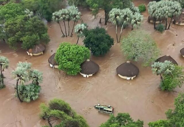 Severe flooding forces closure of Kruger National Park