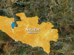 Man killed by brother during domestic dispute in Niger