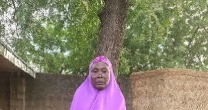 65-year-old arrested as troops disrupt Boko Haram-linked cannabis network in Borno