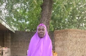 65-year-old arrested as troops disrupt Boko Haram-linked cannabis network in Borno