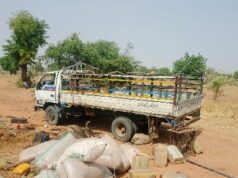 Truck ploughs into roadside crowd, kills three, injures 40 in Yobe