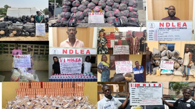 NDLEA cracks down on drug traffickers, intercepts explosive