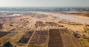 Kano’s silent orchards: How mango production is being killed by sand mining