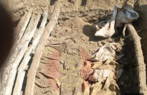 Troops uncover terrorists’ mass grave in Borno Terrorists