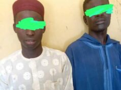 Two arrested for attempted drug smuggling to inmates in Kano