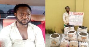 Wanted drug kingpin arrested 12 years after killing 3 NDLEA officers Drug