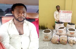 Wanted drug kingpin arrested 12 years after killing 3 NDLEA officers Drug