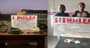 One officer injured as NDLEA nabs woman, 26-year-old ex-convict for drug dealing NDLEA