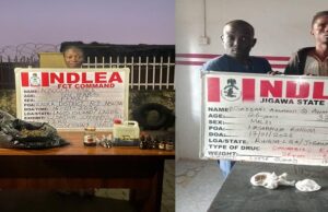 One officer injured as NDLEA nabs woman, 26-year-old ex-convict for drug dealing NDLEA